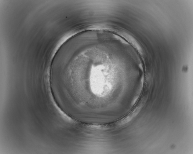 X0000102020855200808011422