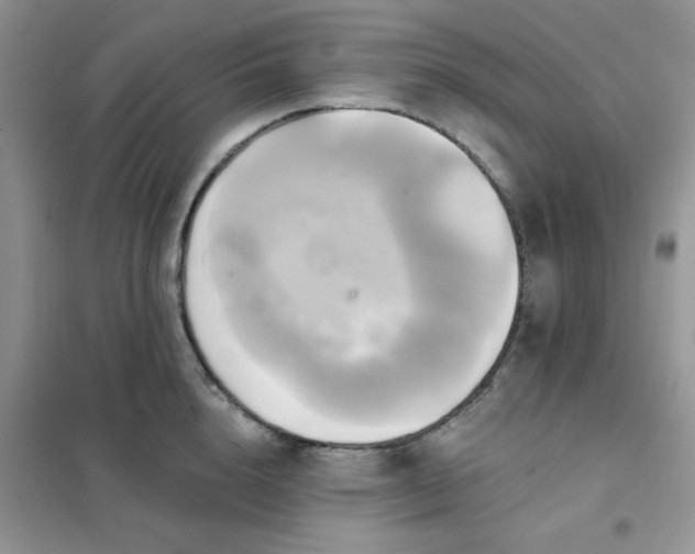 X0000102020856200808011422
