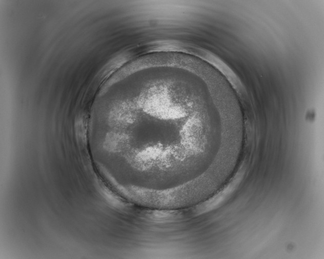 X0000102020857200808011422