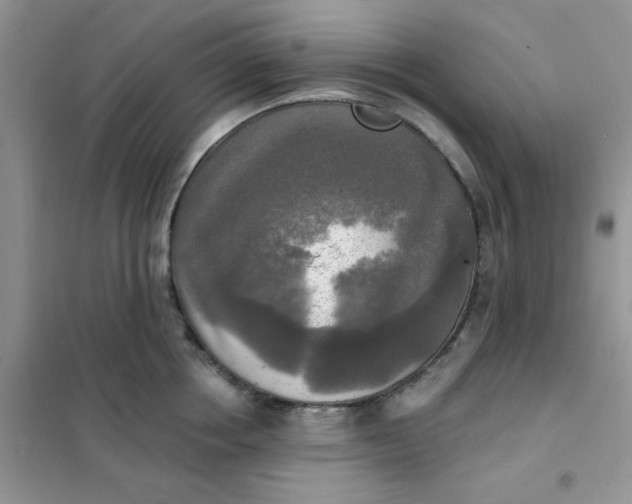 X0000102020858200808011422