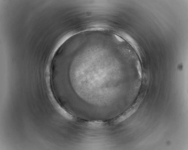 X0000102020859200808011422