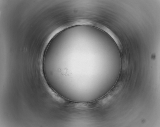 X0000102020861200808011422