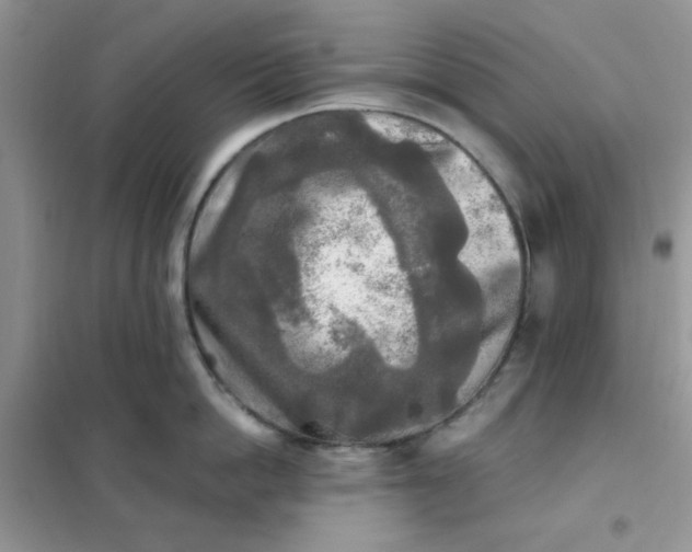 X0000102020862200808011422