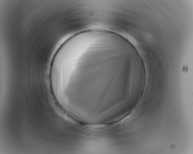 X0000102020864200808011422