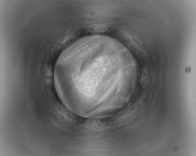 X0000102020866200808011421