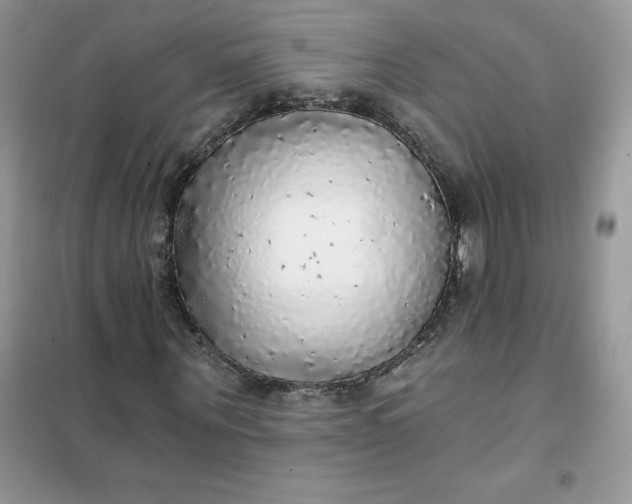 X0000102020867200808011421