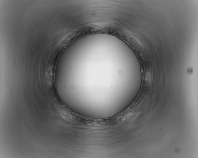 X0000102020868200808011421