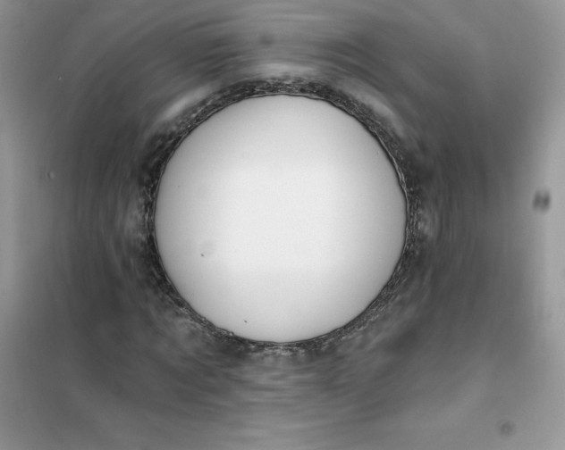 X0000102020869200808011421