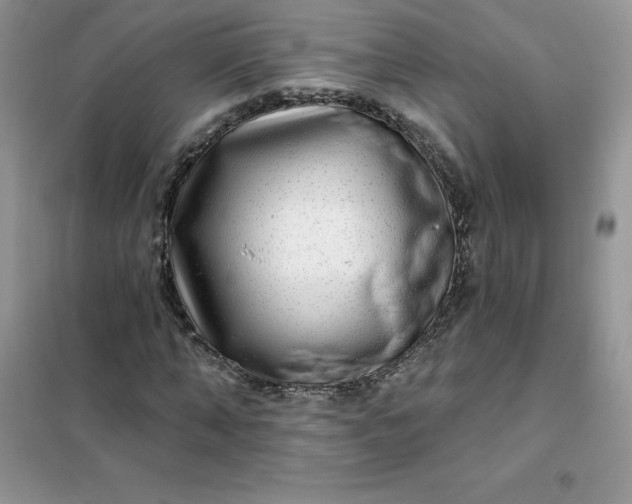 X0000102020870200808011421