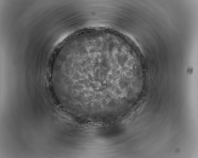 X0000102020871200808011421