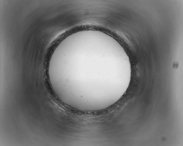 X0000102020872200808011421
