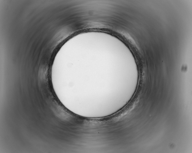 X0000102020873200808011421
