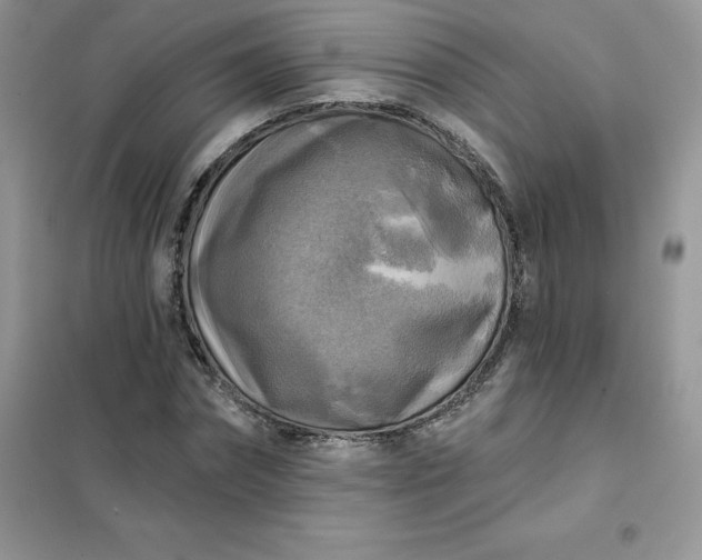 X0000102020874200808011421
