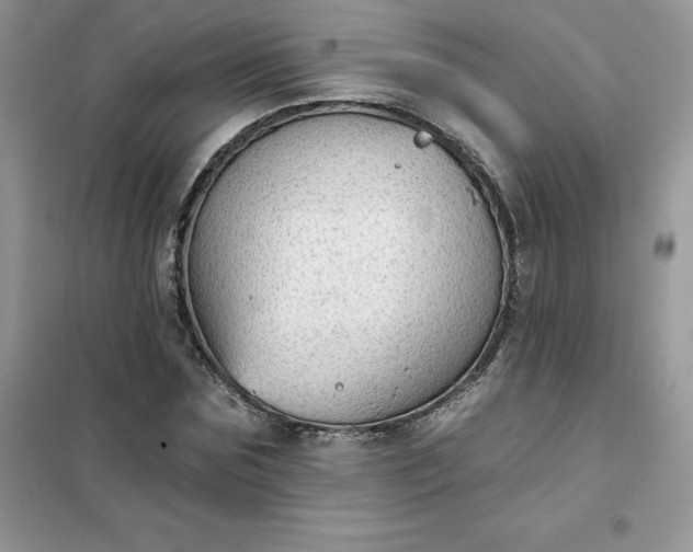 X0000102020875200808011421