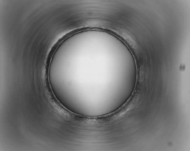 X0000102020880200808011421