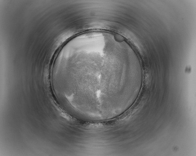 X0000102020882200808011421