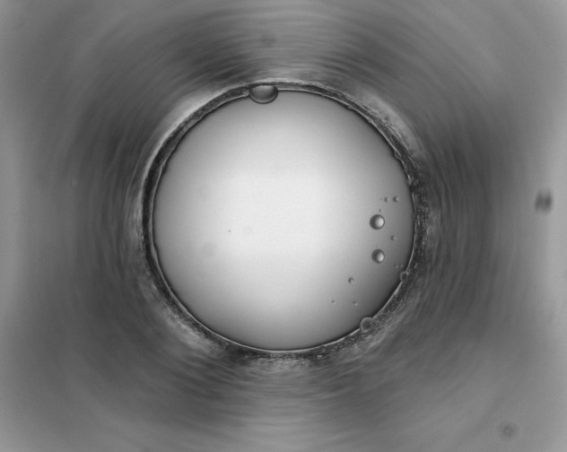 X0000102020884200808011421