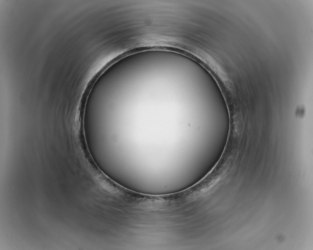 X0000102020885200808011421