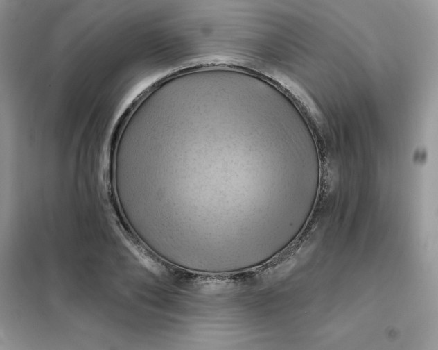 X0000102020886200808011421