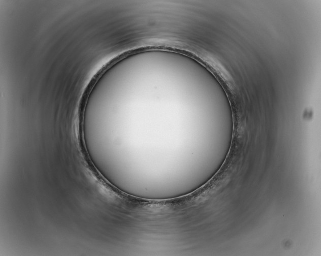 X0000102020888200808011421