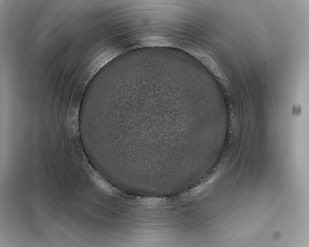 X0000102020889200808011421