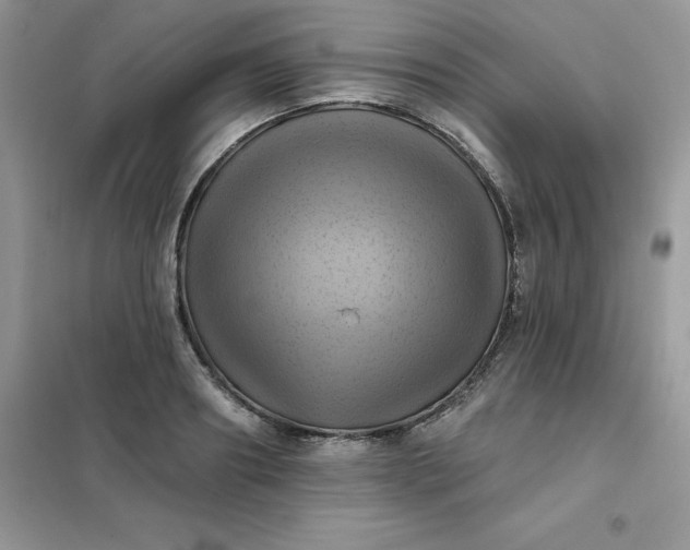 X0000102020890200808011421