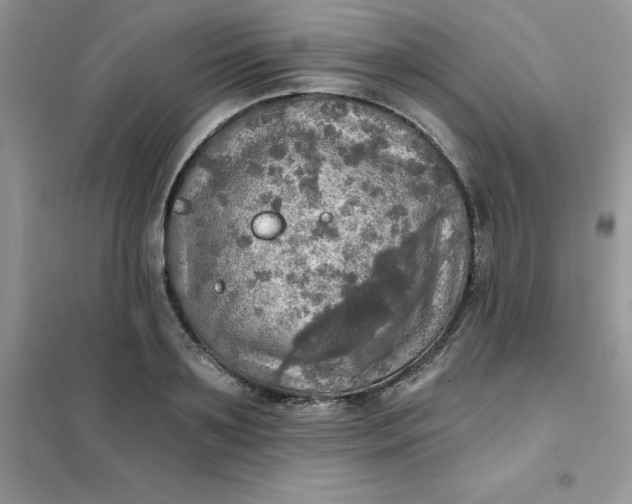X0000102020891200808011421