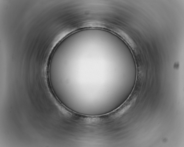 X0000102020893200808011421