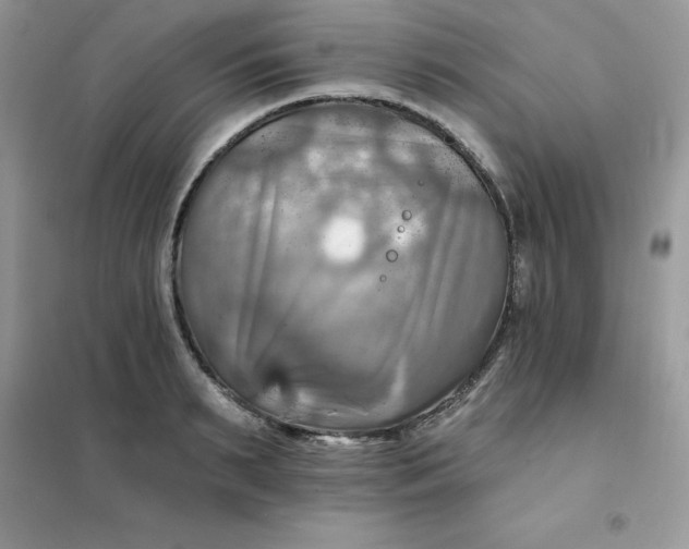 X0000102020895200808011421