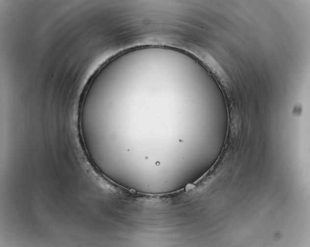 X0000102020896200808011421