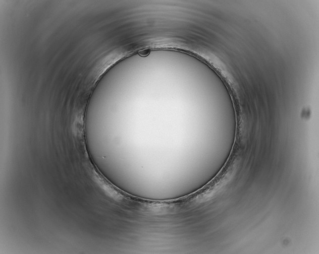 X0000102020897200808011421