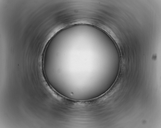 X0000102020898200808011421