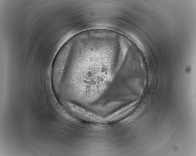 X0000102020899200808011421