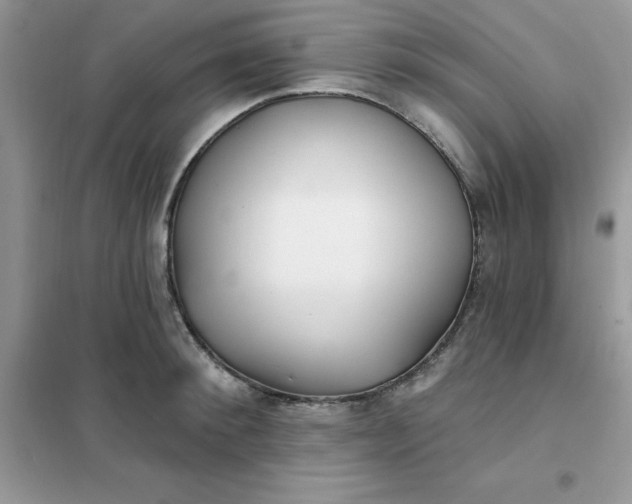X0000102020900200808011421