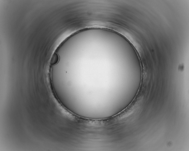 X0000102020901200808011421