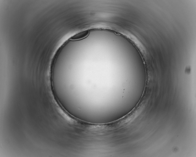 X0000102020902200808011421