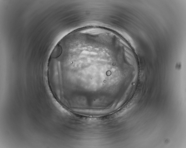 X0000102020903200808011421