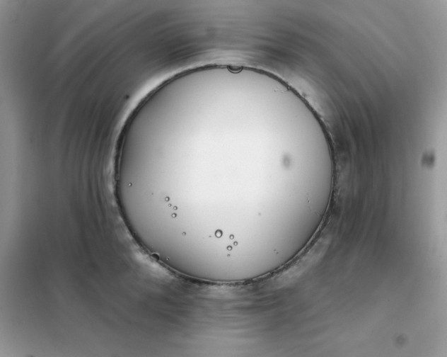 X0000102020904200808011421
