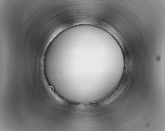 X0000102020906200808011421