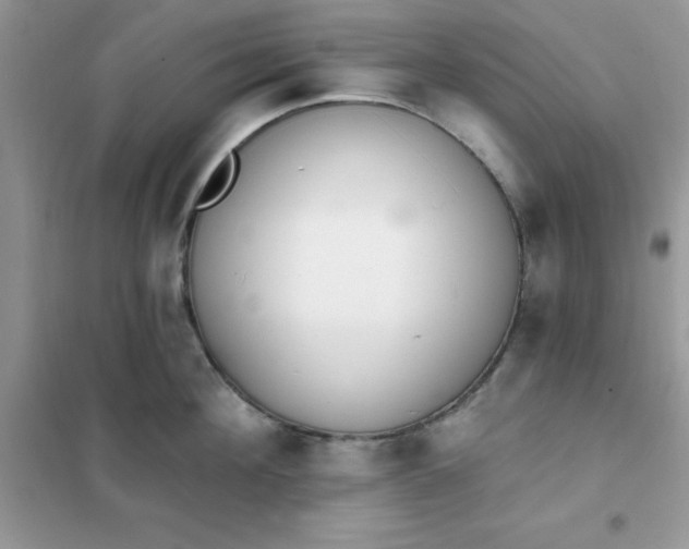 X0000102020908200808011421