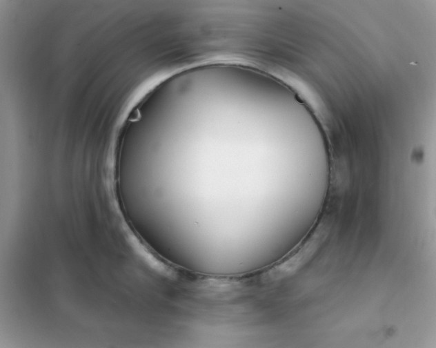 X0000102020910200808011421