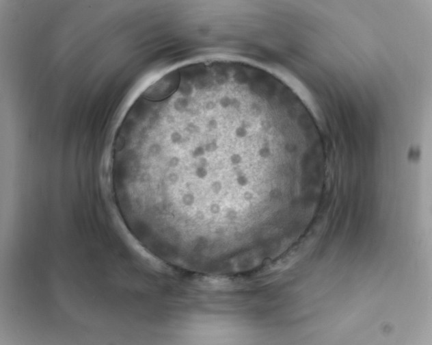 X0000102020911200808011421