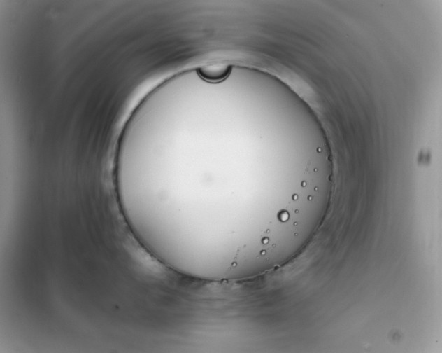 X0000102020912200808011421