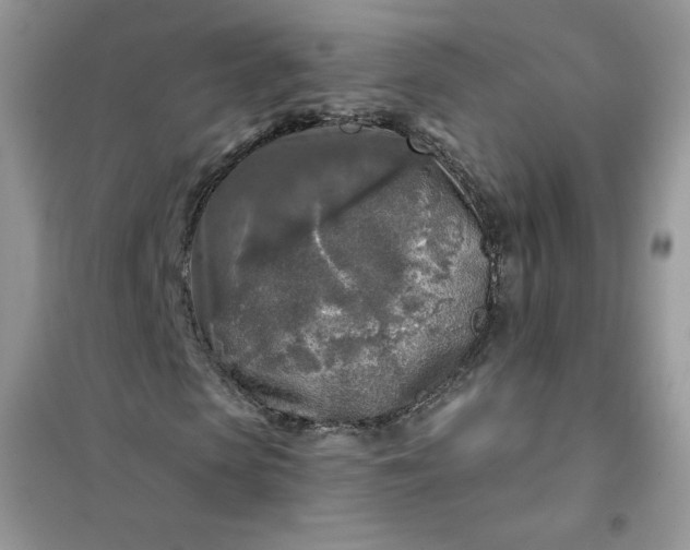 X0000102020913200808011420