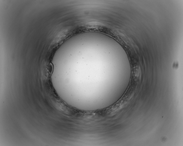 X0000102020916200808011420