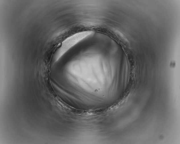 X0000102020917200808011420