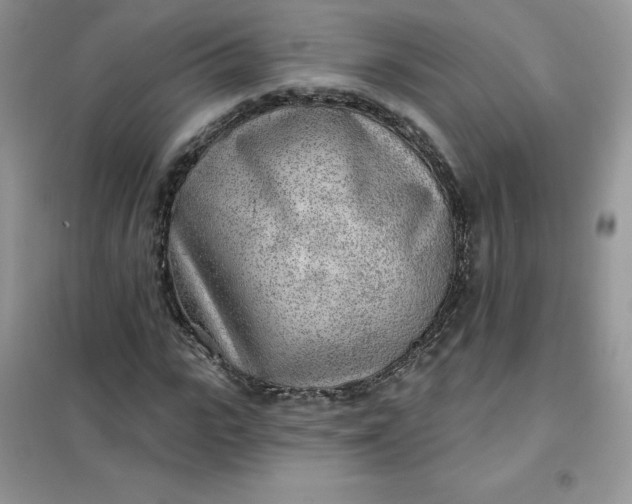 X0000102020919200808011420