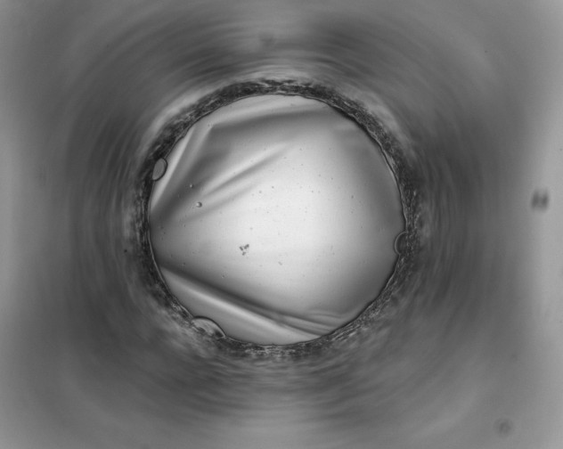 X0000102020920200808011420