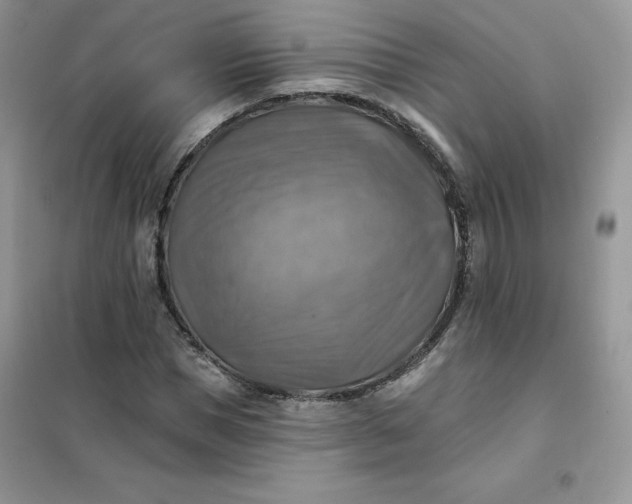 X0000102020921200808011420