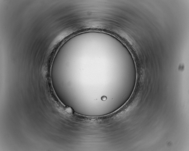 X0000102020922200808011420